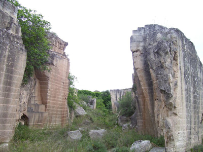 Tagghiate
