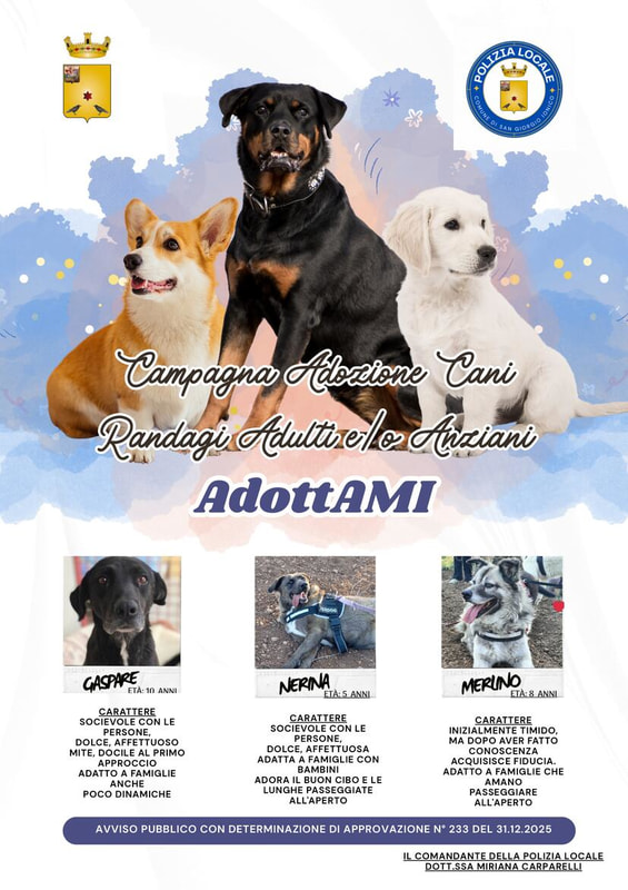 CAMPAGNA DI ADOZIONE CANI ADULTI E/O ANZIANI DEL CANILE COMUNALE - "ADOTTAMI" -