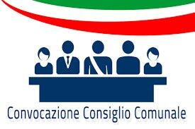 Immagine: Consiglio comunale
