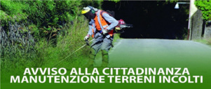 Immagine: terreni incolti